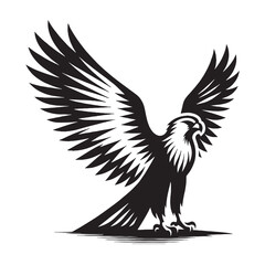 Vintage Falcon Silhouettes, flying  Falcon Silhouettes, silhouettes of Graceful Birds- black and white illustration