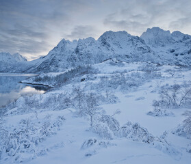 Obraz premium verschneite Landschaft bei Sildpollneset, Vestpollen, Rorhoptindan, Austnesfjorden, Austvagoya, Lofoten, Nordland, Norwegen