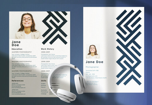 Professional Curriculum Vitae Layout