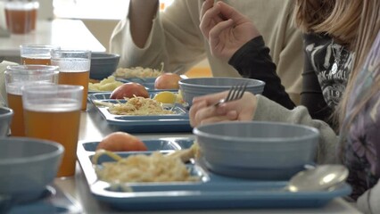 Baby food at school. School canteen. Organization of children's nutrition in educational institutions. Centralized supply of lunch products for children in schools
