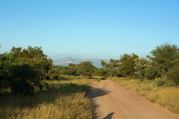 Landscape of Kruger National Park, South Africa