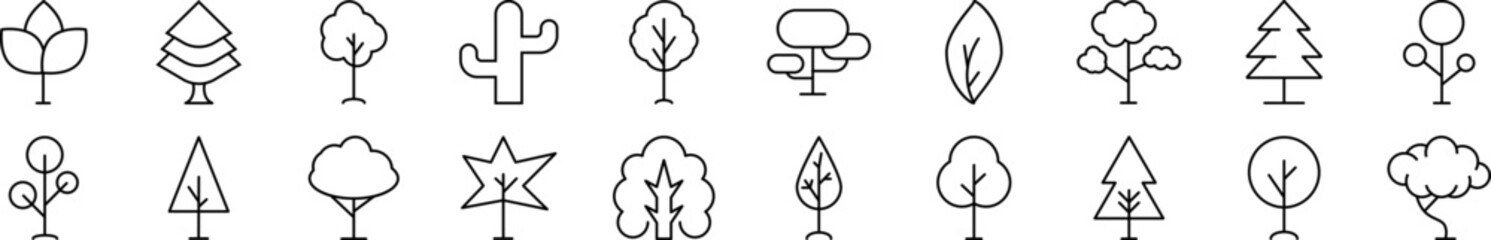 Deciduous and conifers vector images drawn with thin line. Editable stroke. Simple linear illustration for web sites, newspapers, articles book