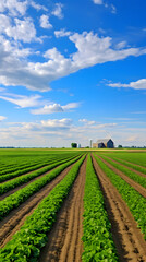 Fototapeta na wymiar Splendid rural panorama highlighting an abundant crop field under soft cloudy sky with a barn and farming equipment background