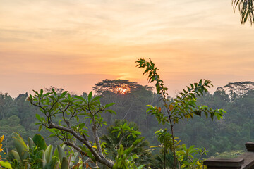 Bali jungles, sunset view from Taman Dedari hotel near Ubud, Gianyar