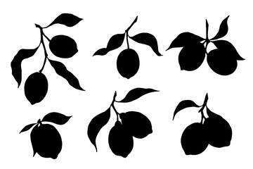 Set of lemon citrus fruit silhouettes. Vector graphics.
