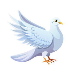 White pigeon dove on white background