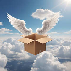 Delivery box with wings symbol of air transportation - 758312394