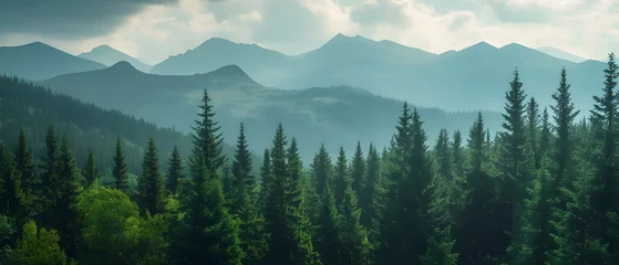 Crédence de cuisine en verre imprimé Alpes Scenic view of fog over trees in the forest