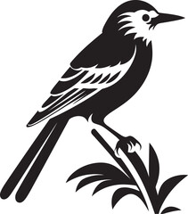 Ethereal Plumage Charm: Tropical Bird Perched on Branch Vector Black Logo Icon Radiant Jungle Majesty: Cute Tropical Bird on Branch Black Logo Vector Design