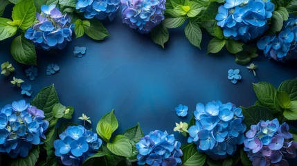 Keuken spatwand met foto Blue hydrangea flowers on blue background with copy space. © Виктория Дутко
