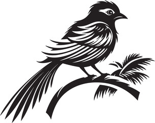 Fototapeta premium Ethereal Rainforest Elegance: Tropical Bird Black Logo Vector Paradise Plumage Majesty: Perched on Branch Vector Icon Design