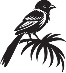Fototapeta premium Ethereal Jungle Symphony: Tropical Bird Black Logo Vector Paradise Plumage Haven: Perched Bird Vector Logo Icon Design