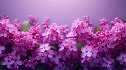 Rolgordijnen Beautiful lilac flowers on a purple background, close-up © Виктория Дутко