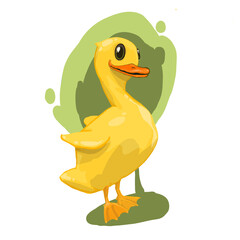 Duck