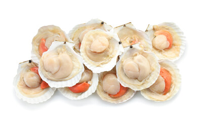 Many fresh raw scallops in shells isolated on white, top view