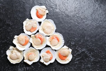 Fresh raw scallops with shells on black textured table, flat lay. Space for text