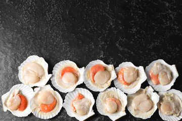Fototapeta na wymiar Fresh raw scallops with shells on black textured table, flat lay. Space for text