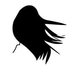 Women's blown hair set. Wide view Hair blowing in the wind. Front, back, left, right. Beautiful hairstyles black long hair women. trendy haircut. vector icon set isolated on white background.