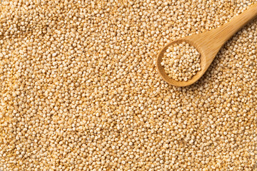 Organic white quinoa seeds - Chenopodium quinoa