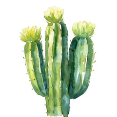 Watercolor Succulent Cactus
- 758323944