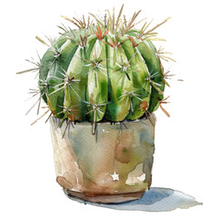 Watercolor Succulent Cactus
- 758324156