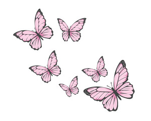pink butterfly hand drawn design