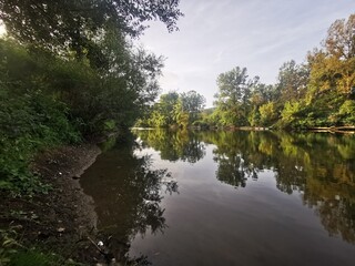 Obraz premium reflection in the water, silhouettes of trees reflecting in the calm water of the river. - South Morava river - Serbia