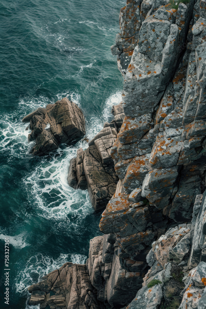 Poster a bird perched on the edge of a cliff, suitable for nature and wildlife concepts