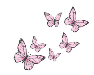 pink butterfly fly desg vector 