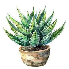 Watercolor Succulent Cactus
- 758330166