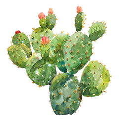 Watercolor Succulent Cactus
- 758330532