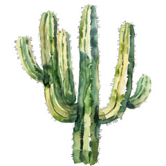 Watercolor Succulent Cactus
- 758331770