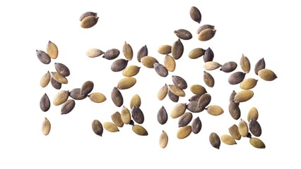 Pumpkin Seeds Isolated on White Background Top View of Pumpkin Seeds