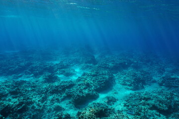 Ocean floor natural underwater background in the south Pacific ocean, Rurutu, Austral Islands,...