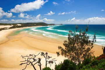 Tropical beach of the Coral Sea, as seen from a lookout on the Indian Head outcrop, a coastal...