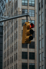 Red Stop Signal of New York Traffic Light with Buildings in Background