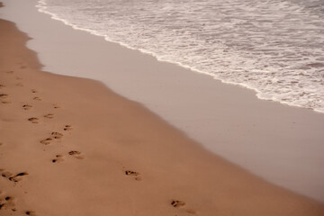 The soft glow of sunset casts a warm hue over a meandering path of footprints on the beach, alongside the gentle surf. Winding Footprints on Seashore at Sunset.