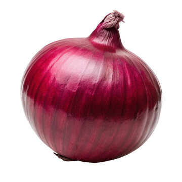 A red onion isolated on Transparent background.