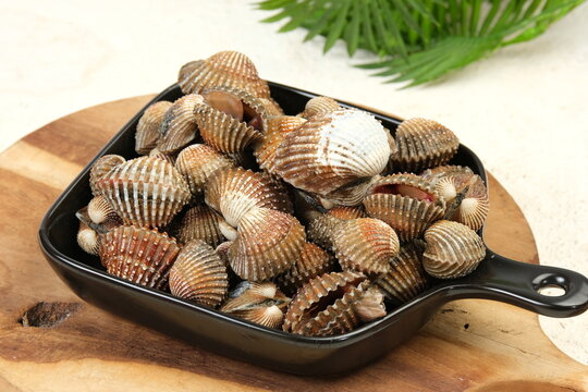 Kerang dara or kerang darah (Anadara granosa). commonly consumed by East Asian and South East Asian people.