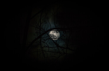 Image de la pleine lune rayonnante, Pleine lune en vierge dans le ciel. Paysage féérique.
