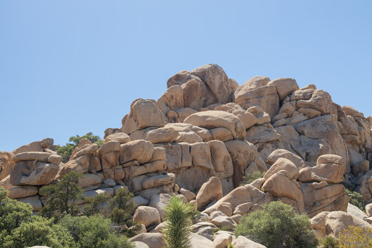 Rock formations at Joshua Tree National Park, California, USA