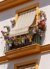 A balcony decorated with flowers on the facade of a house in Cadiz. - 758344985