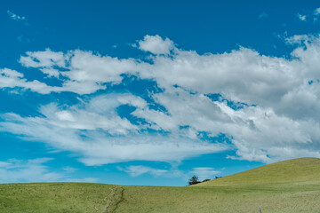 Obraz premium Hawaii's most beautiful country roads. Mauna Kea. Saddle Road / Waiki'i Ranch., Hawaii island / Big island