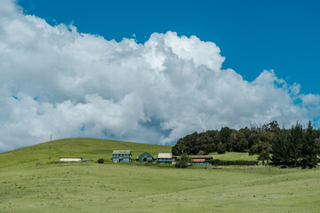 Hawaii's most beautiful country roads. Mauna Kea. Saddle Road / Waiki'i Ranch., Hawaii island / Big island