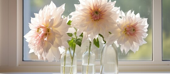 Arrangement of three white Dahlias in a clear bottle against a window with natural light, demonstrating creative uses for wine bottles in a vertical display.