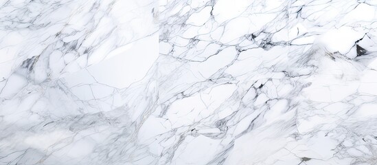 A close up of a white marble texture resembling snow pattern on a freezing winter slope, creating a monochrome liquid event with grey twigs