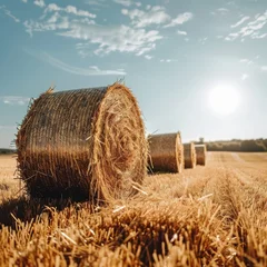 Foto op Plexiglas Clean fresh hay bales in a field under a bright © Naret
