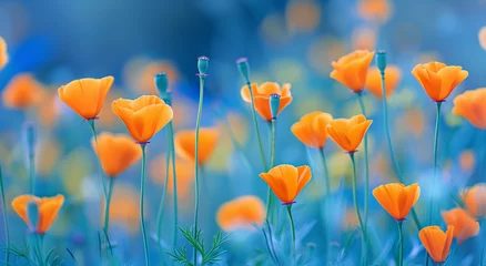 Fototapeten A California poppies in full bloom, presenting a field awash with vibrant orange © alex
