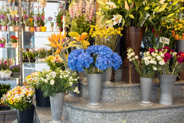 Beautiful colorful flowers in flower shop. Various flowers in the street market
