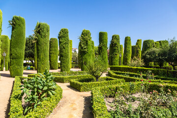 Gardens at the Alcazar  in Cordoba